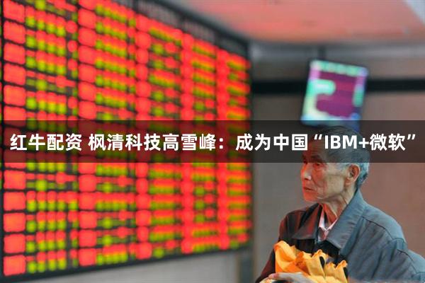 红牛配资 枫清科技高雪峰：成为中国“IBM+微软”