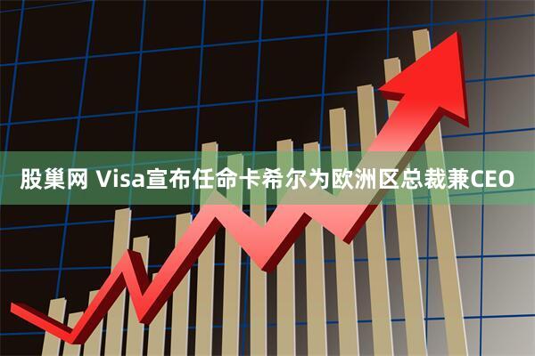 股巢网 Visa宣布任命卡希尔为欧洲区总裁兼CEO