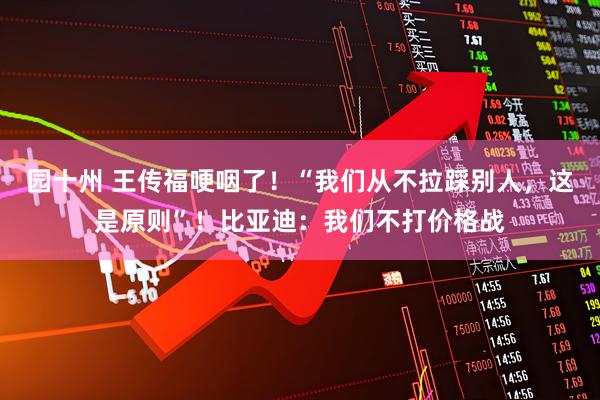 园十州 王传福哽咽了！“我们从不拉踩别人，这是原则”！比亚迪：我们不打价格战