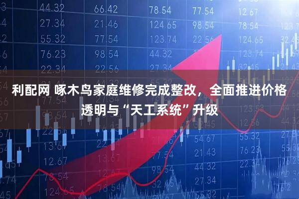 利配网 啄木鸟家庭维修完成整改，全面推进价格透明与“天工系统”升级