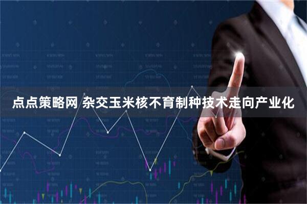 点点策略网 杂交玉米核不育制种技术走向产业化
