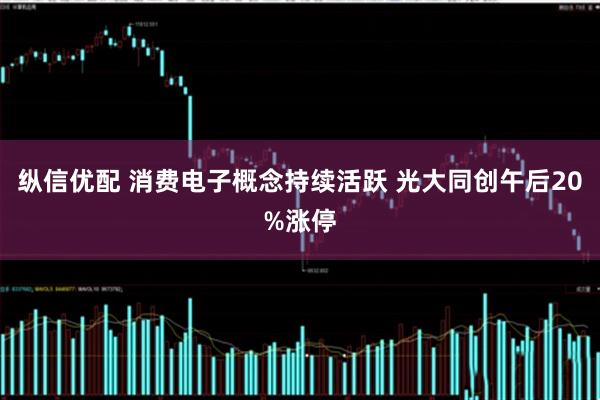 纵信优配 消费电子概念持续活跃 光大同创午后20%涨停