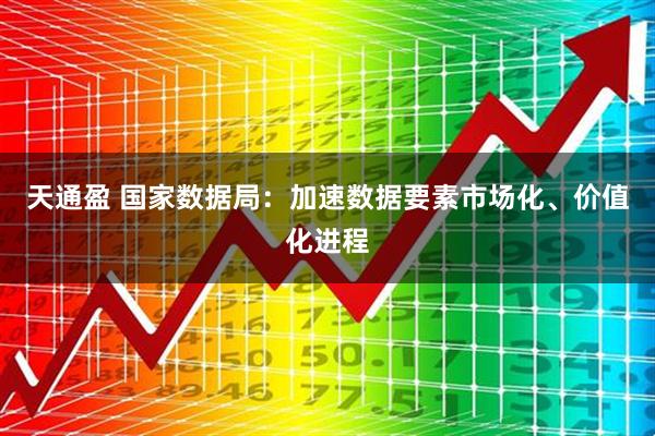 天通盈 国家数据局：加速数据要素市场化、价值化进程